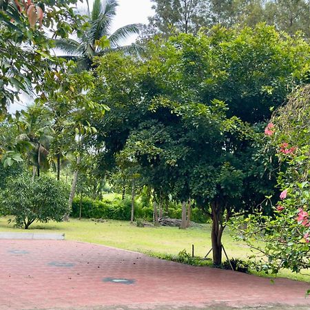 The Shades Holiday Homes Kushalnagar Ngoại thất bức ảnh