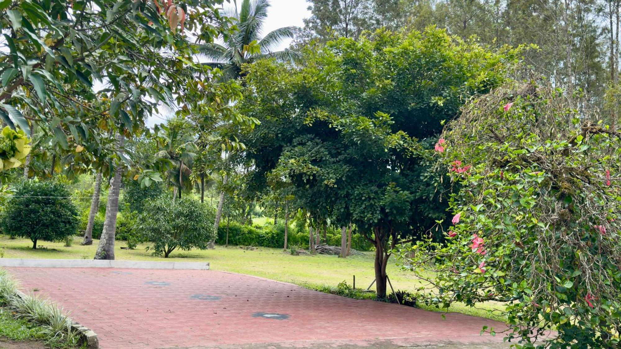 The Shades Holiday Homes Kushalnagar Ngoại thất bức ảnh